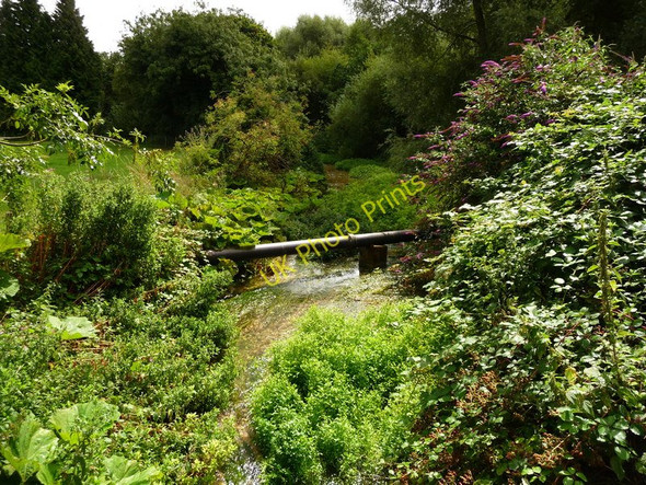Photo 6"x4" Quidhampton - River Test Foxdown c2010