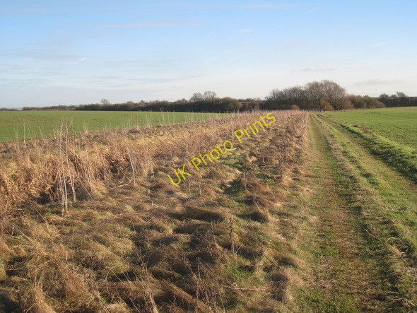 Photo 6"x4" View towards the railway Hibaldstow c2011