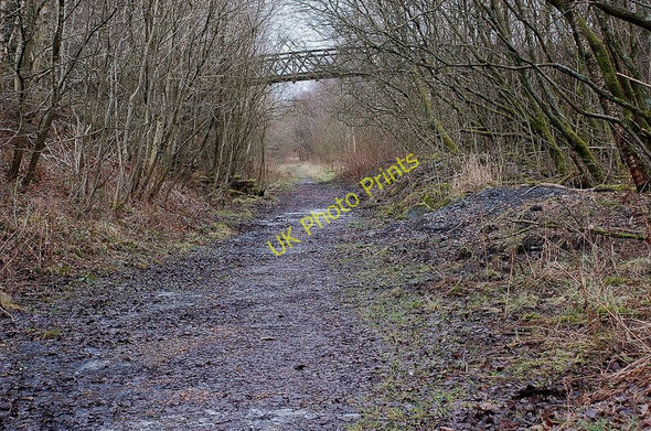 Photo 6"x4" Footbridge and trackbed of the old line, Threlkeld Birkett Mire c2011