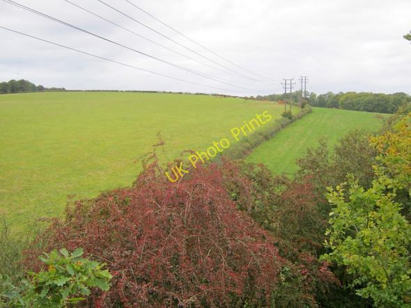 Photo 6"x4" Power lines north of Teversal Skegby\/SK4961 c2010