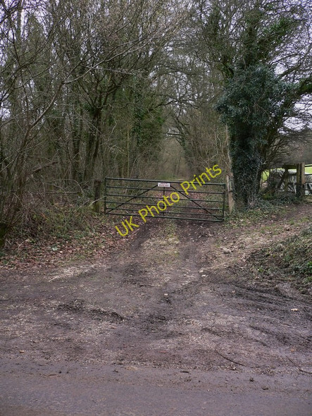 Photo 6"x4" Private woodlands north west of Froyle Lower Froyle c2011