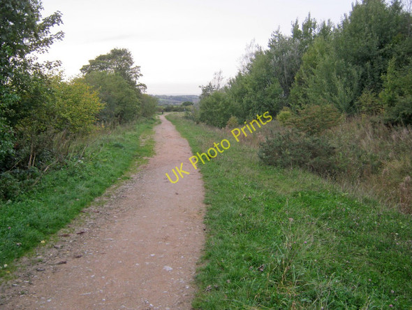 Photo 6"x4" Path through Silverhill Wood Dunsill c2010