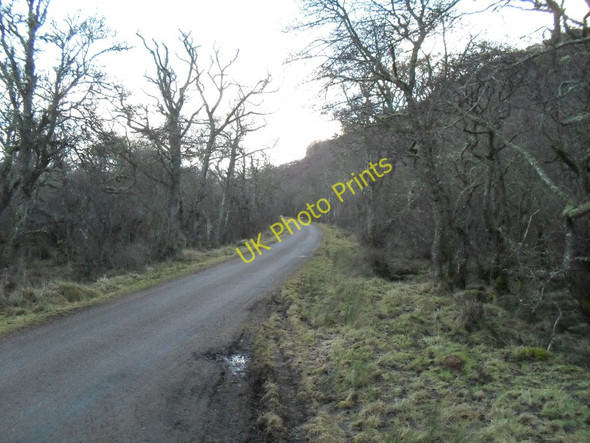 Photo 6"x4" The Unclassified road to Loch Buidhe Little Torboll c2011
