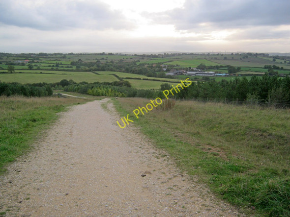 Photo 6"x4" Path at Silverhill Wood Dunsill c2010