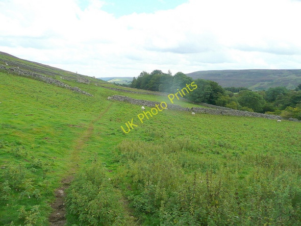 Photo 6"x4" Low Cringley 1 Healaugh\/SE0199 c2010
