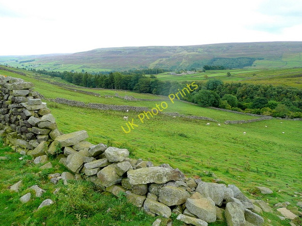 Photo 6"x4" Low Cringley 2 Healaugh\/SE0199 c2010