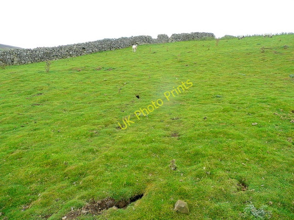 Photo 6"x4" Pastoral hillside Kearton c2010