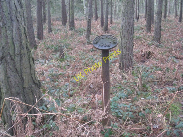 Photo 6"x4" Sign in Rowland Plantation Broughton Common c2011