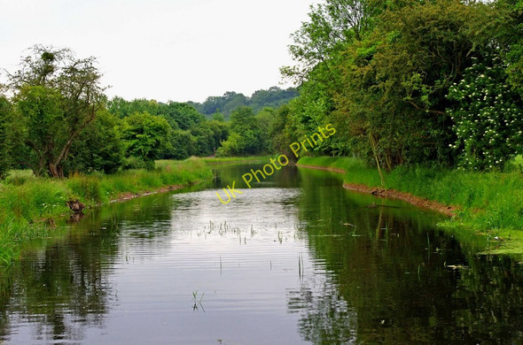 Photo 6"x4" Droitwich Barge Canal Hawford c2010