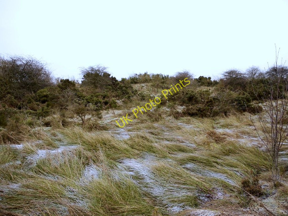 Photo 6"x4" Site of  Bog Pit south-east of Dipton Annfield Plain c2011