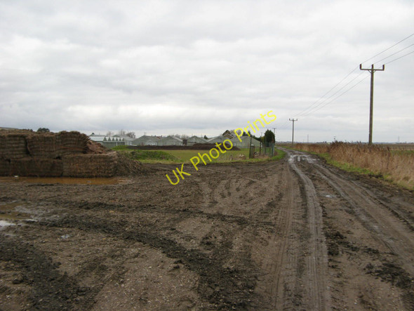 Photo 6"x4" Nursery Greenhouses Cowbit c2011