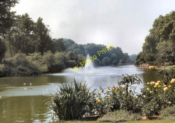 Photo 6"x4" St James's Park Lake Westminster c1973