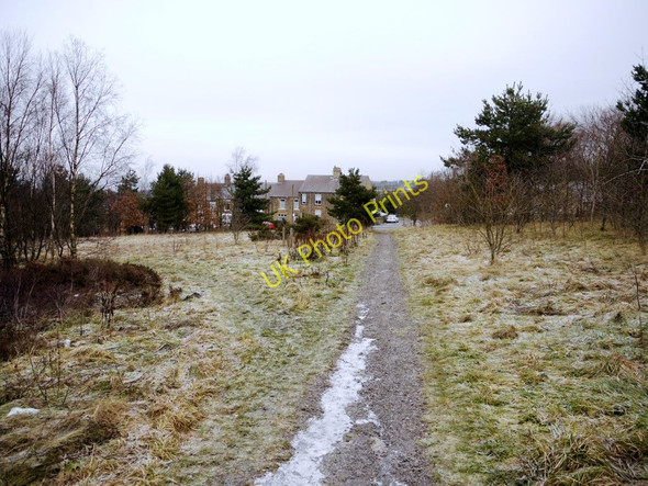 Photo 6"x4" Path west of Delight Bank, Dipton Annfield Plain c2011