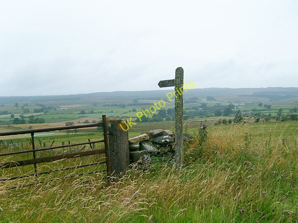 Photo 6"x4" Lichen encrusted signpost Oakshaw Ford c2007