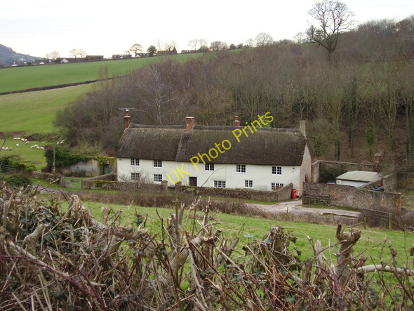 Photo 6"x4" Brook farm Sidford c2011