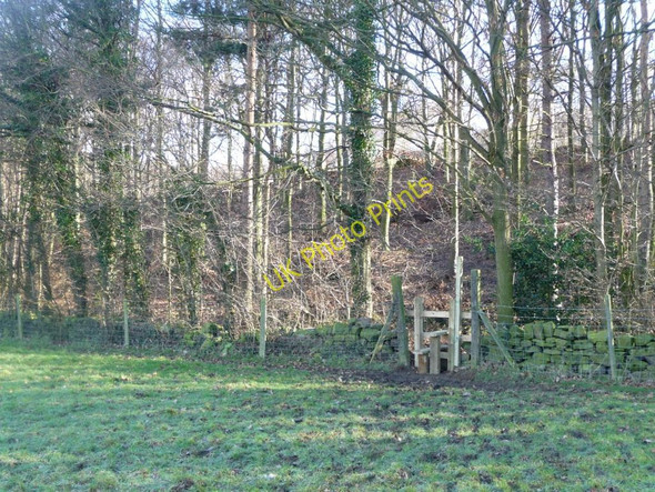 Photo 6"x4" Footpath entering Bullcliff North Wood Midgley\/SE2714 c2011