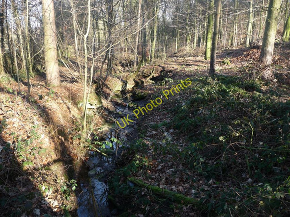Photo 6"x4" North Wood Beck Midgley\/SE2714 c2011