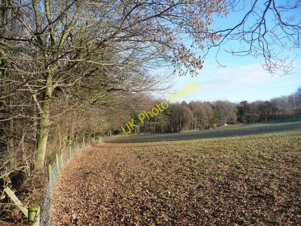 Photo 6"x4" The eastern edge of Bullcliff North Wood Midgley\/SE2714 c2011
