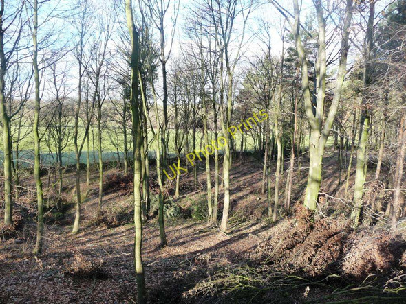 Photo 6"x4" Bullcliff North Wood Midgley\/SE2714 c2011 P1