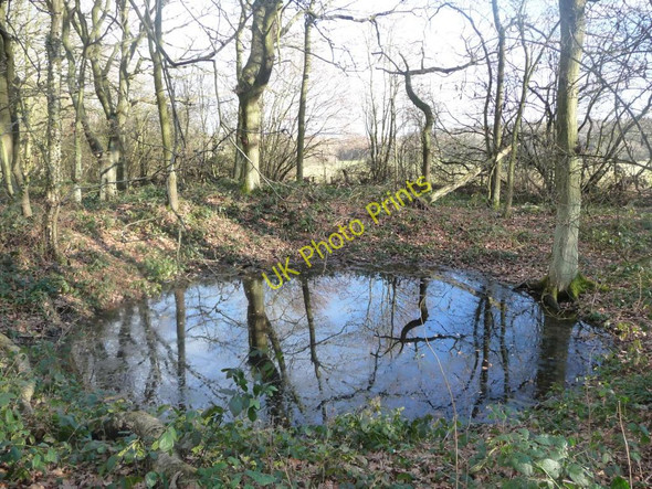 Photo 6"x4" Pond at the edge of woodland, near South Lane Midgley\/SE2714 c2011
