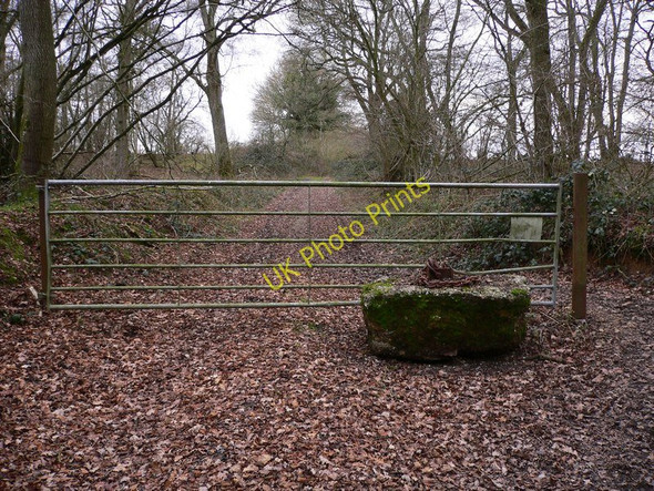 Photo 6"x4" Bridle gate in Collins Copse Cranleigh c2011