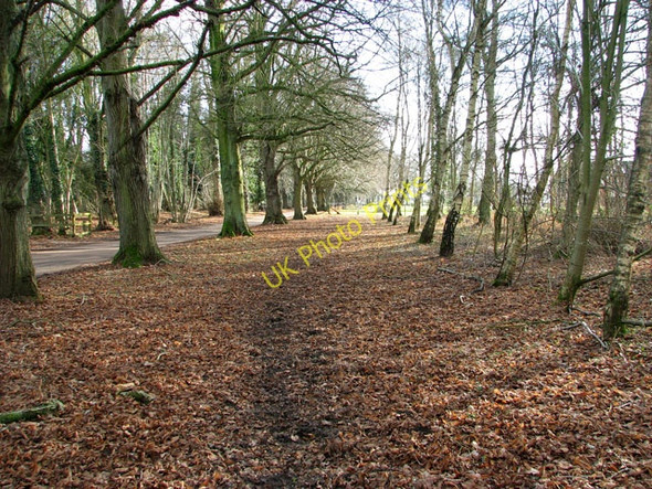 Photo 6"x4" Sandy Lane, Ragmere Stacksford c2011