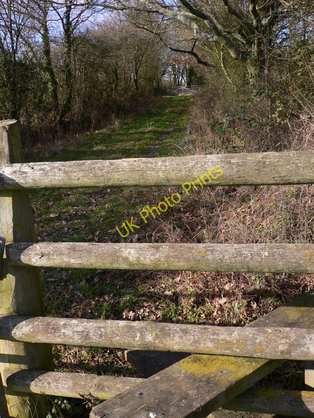 Photo 6"x4" Enclosed section of footpath near Sparr Farm Wisborough Green c2011