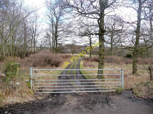 Photo 6"x4" Track through woodland West Bretton\/SE2813 c2011