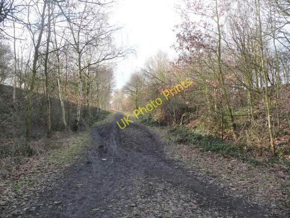 Photo 6"x4" Cycleway on old railway line, west of Chevet Lane Royston\/SE3511 c2011