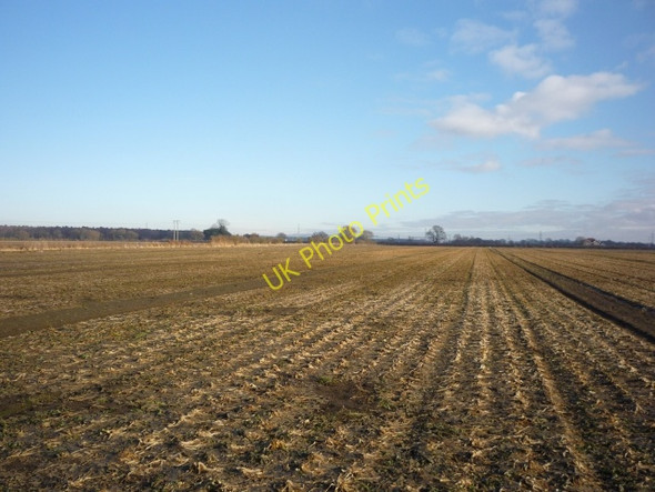 Photo 6"x4" Farmland near Thornton Grange Thornton\/SE7545 c2011