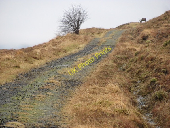 Photo 6"x4" Road to the Isles Cluanie Lodge c2011