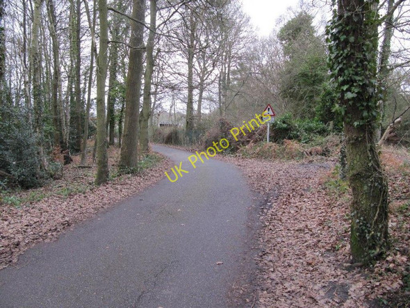 Photo 6"x4" Allotments round the corner Brookwood c2011