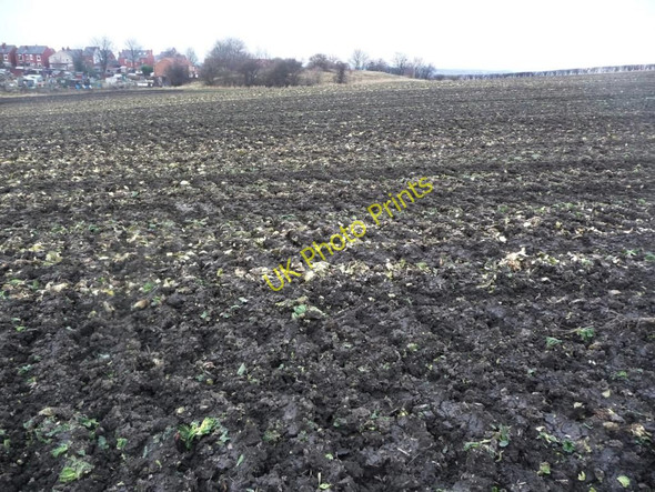 Photo 6"x4" Recently harvested cabbage field Wakefield\/SE3320 c2011