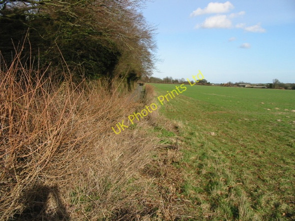 Photo 6"x4" Looking NE towards Barfrestone Frogham\/TR2550 c2008