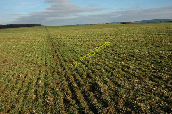 Photo 6"x4" In a big field! Hinton Cross c2011