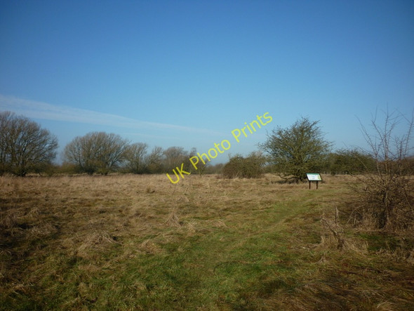 Photo 6"x4" Pulfin Nature Reserve Aike c2011