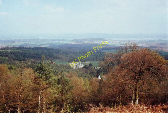 Photo 6"x4" Looking towards Mamhead House from Obelisk Plantation, Devon Ashcombe\/SX9179 c1997