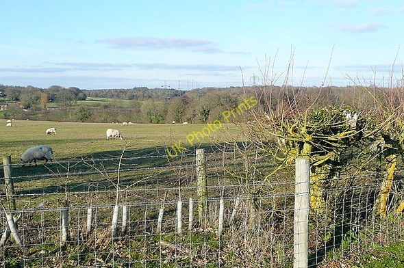 Photo 6"x4" Farmland at Lovegrove's Farm Mortimer West End c2011