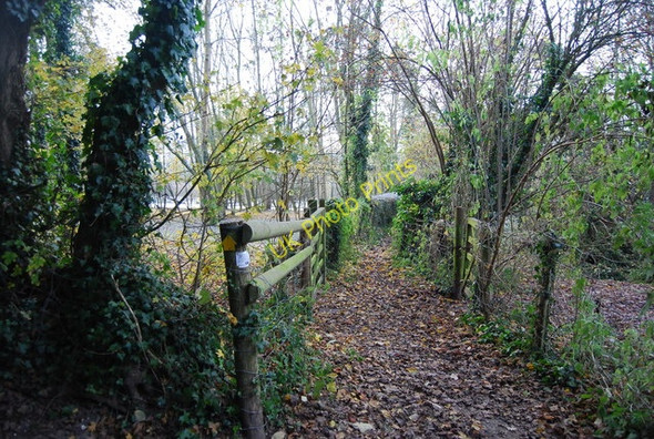 Photo 6"x4" Footpath off Pilgrims' Way Charing c2010