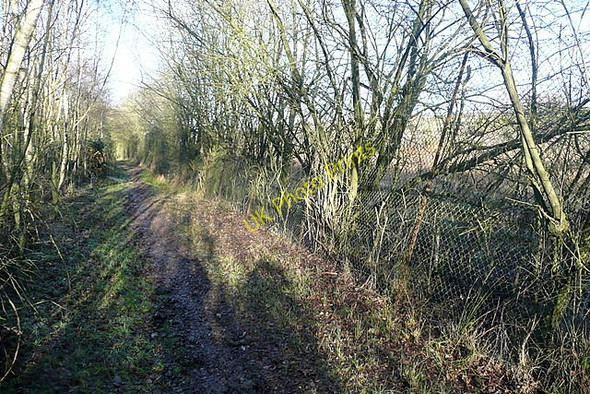 Photo 6"x4" Bridleway at Bramshill Bramshill c2011