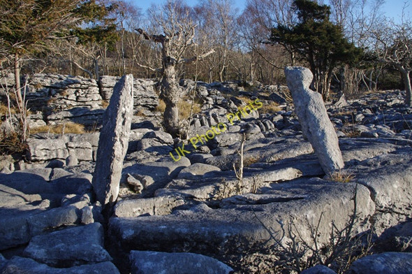 Photo 6"x4" Limestone pavement, Whitbarrow Beck Head\/SD4484 c2011