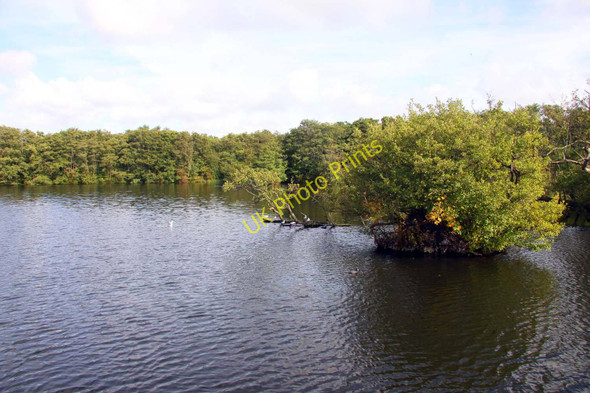 Photo 6"x4" Salhouse Broad Salhouse c2010