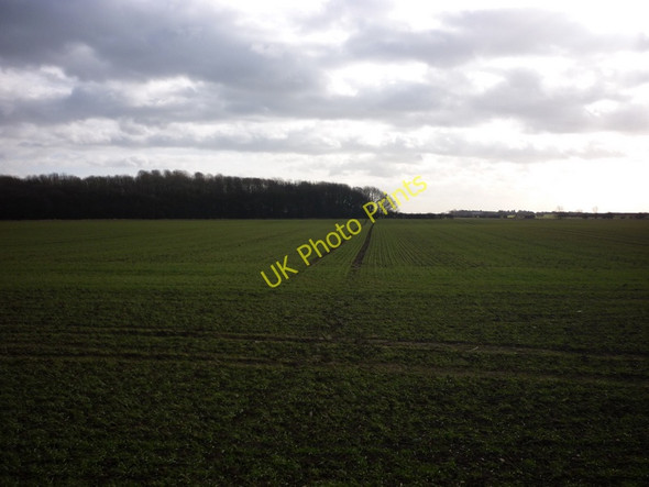 Photo 6"x4" A footpath heading towards Bail Wood near Garton Aldbrough c2011