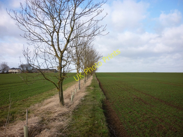 Photo 6"x4" Walking near Owsthill House Farm Aldbrough c2011