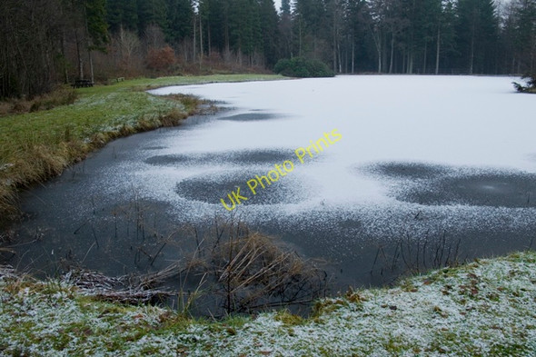 Photo 6"x4" Coldstream Loch in Drumlanrig Woods Cairnpark\/NX8698 c2011