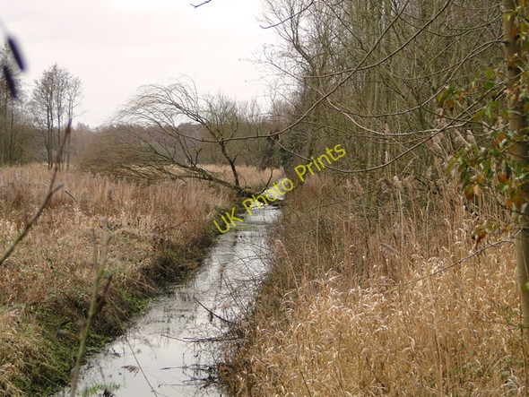 Photo 6"x4" Fallen tree over a drainage ditch Eastbridge\/TM4566 c2011