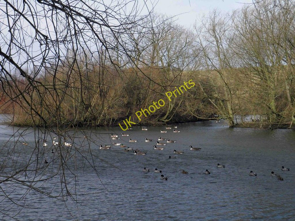 Photo 6"x4" Netherwood Country Park Low Laithes\/SE3804 c2011