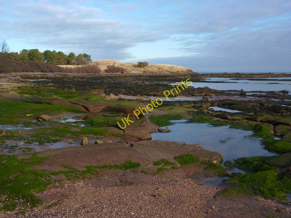 Photo 6"x4" St Baldred's Cradle Tyninghame c2011