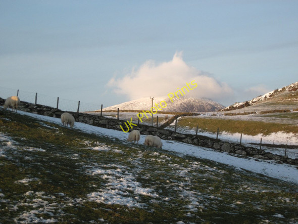 Photo 6"x4" Farmland at Cwm Mawr Penmorfa\/SH5440 c2010