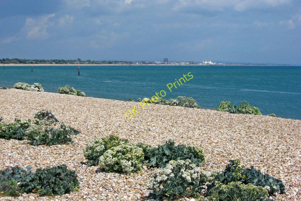 Photo 6"x4" The shingle beach at Pagham Spit Pagham c2010